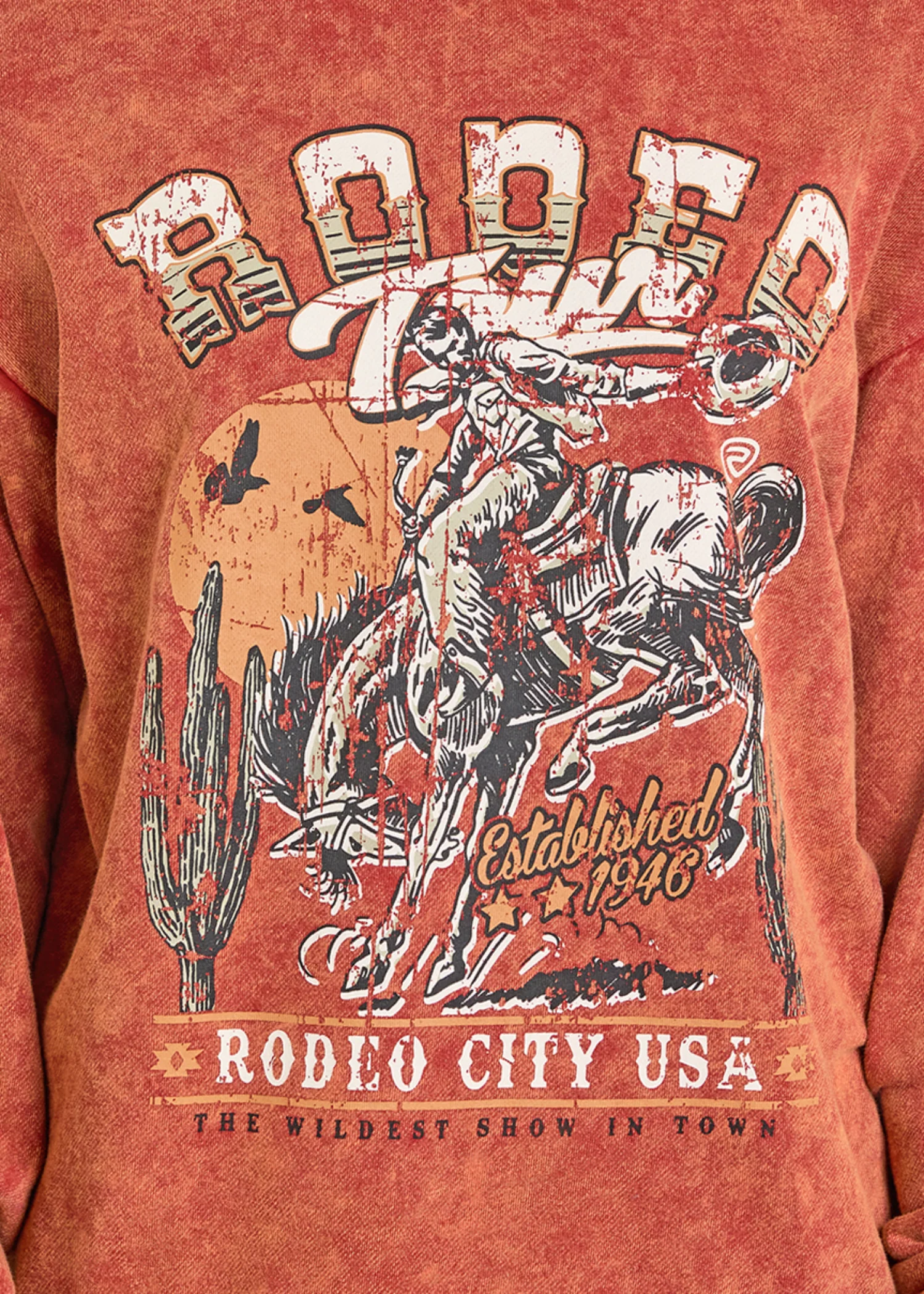 Rodeo City Distressed Graphic Pullover - Image 3