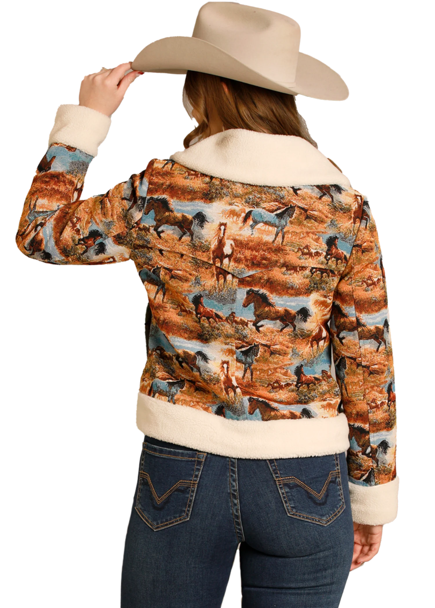 Sherpa Lined Tapestry Jacket - Image 3